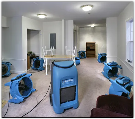 Drying & Dehumidification in Lakeville, MA