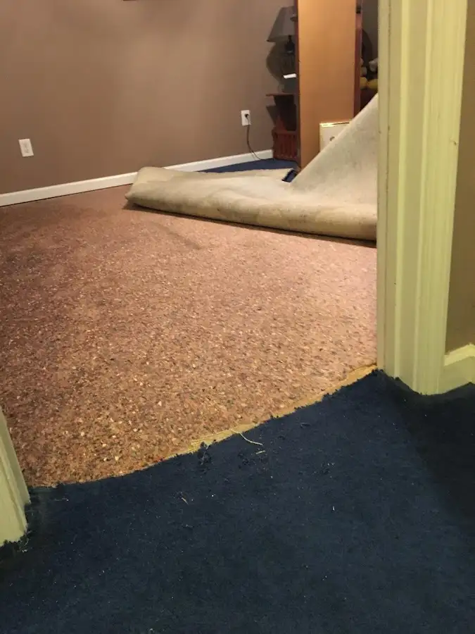 Carpet pad removal revealing water damage during Drying & Dehumidification in Lakeville