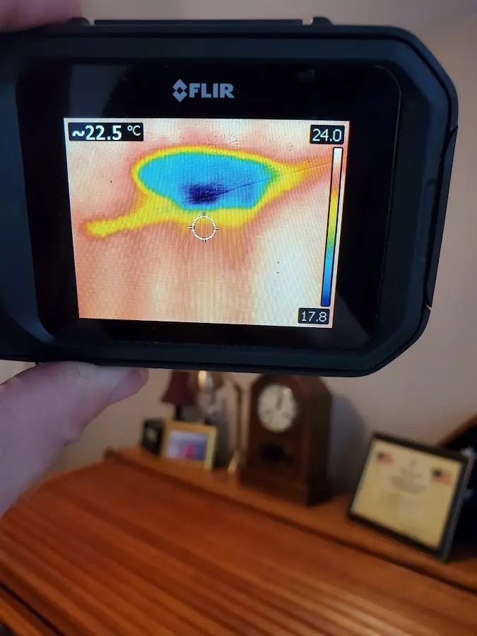 Thermal imaging inspection for water damage in Lakeville